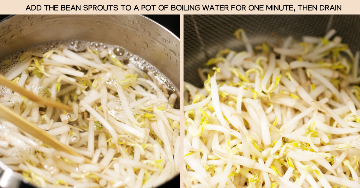 blanche sprouts bibimbap