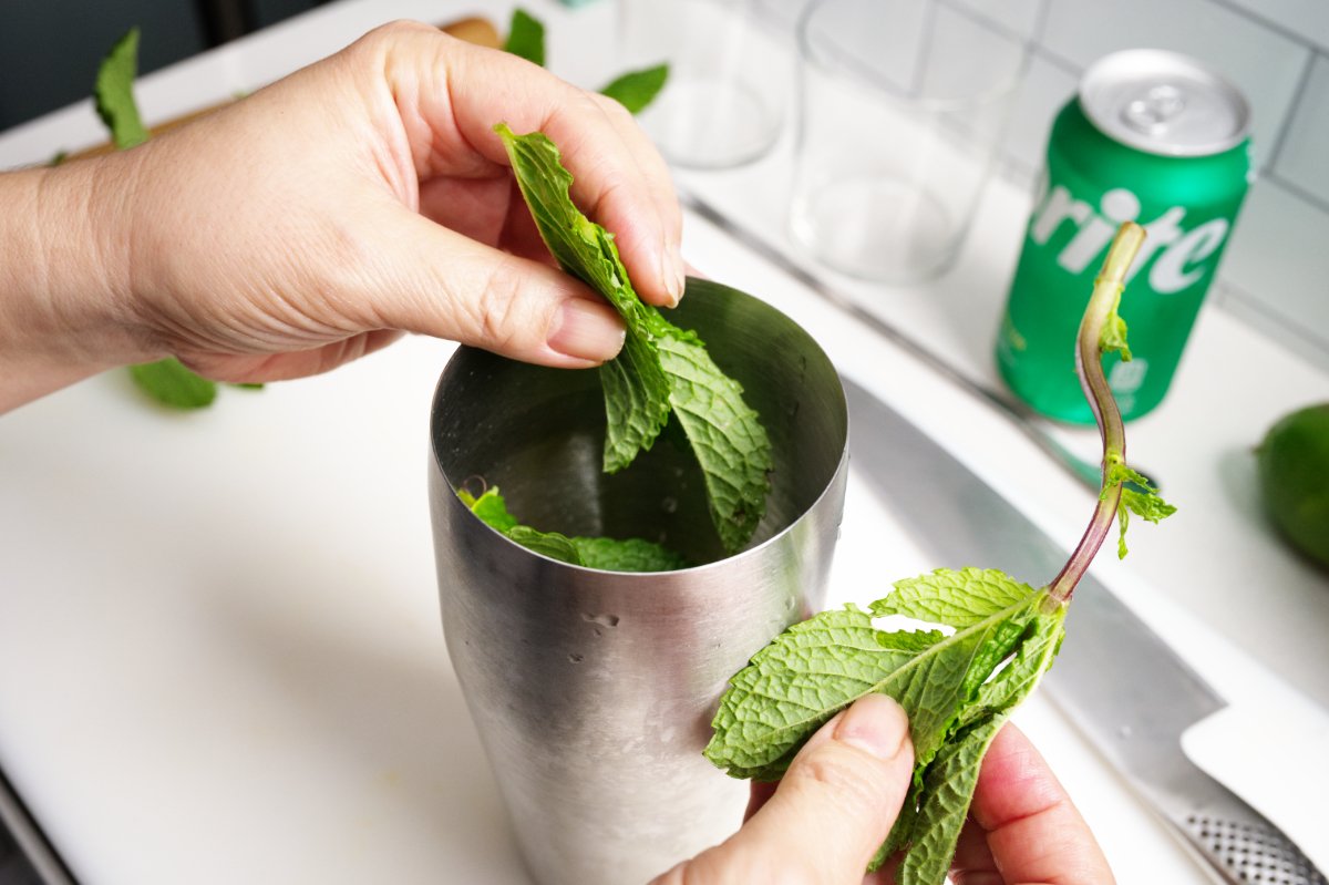 adding mint to shaker for sake mojitos