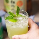 recipe card photo sake mojito